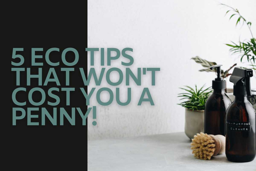 5 Eco Tips That Won't Cost You A Penny