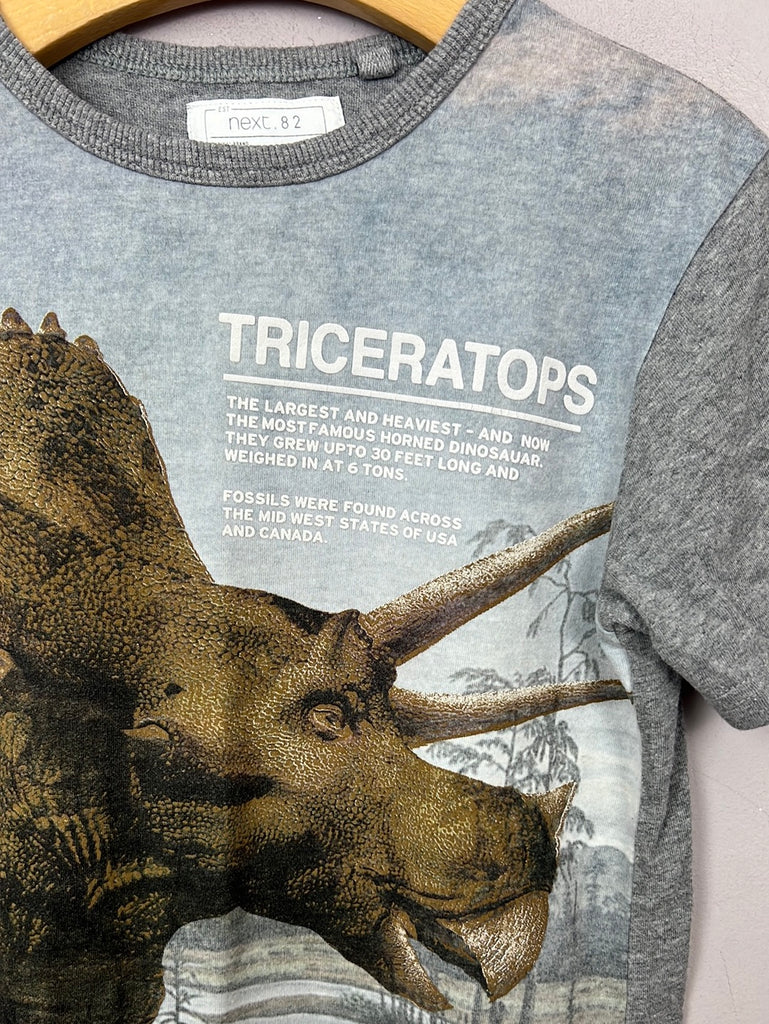 Second hand kids Next triceratops t-shirt 6y