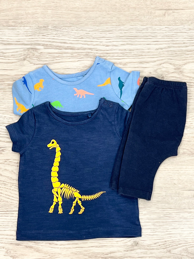 1m Next 2 dinosaur t-shirts & legging set - Sweet Pea Preloved Clothes