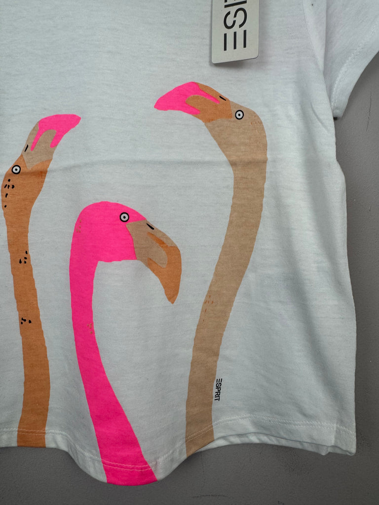 Esprit flamingo t-shirt BNWT 2-9y Pre loved kids - sweat pea preloved 