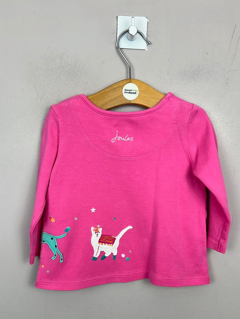 Secondhand Joules Party Parade set 6-9m