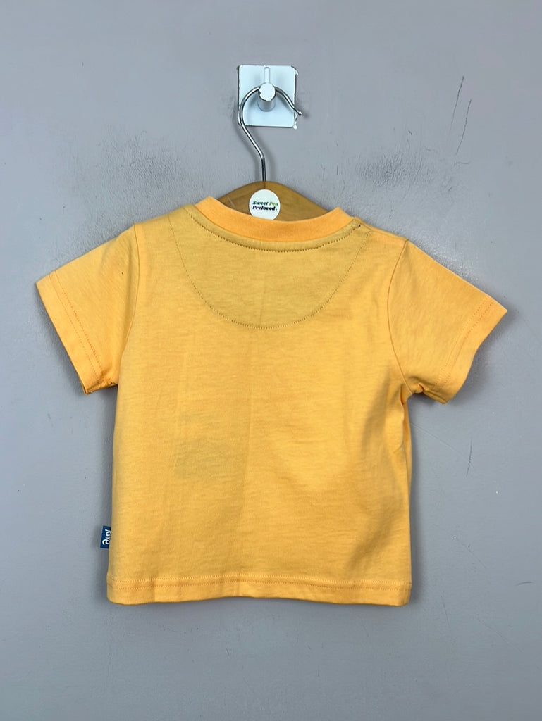 Kite Yellow Dino T-shirt 6-9m BNWT - sweet pea preloved