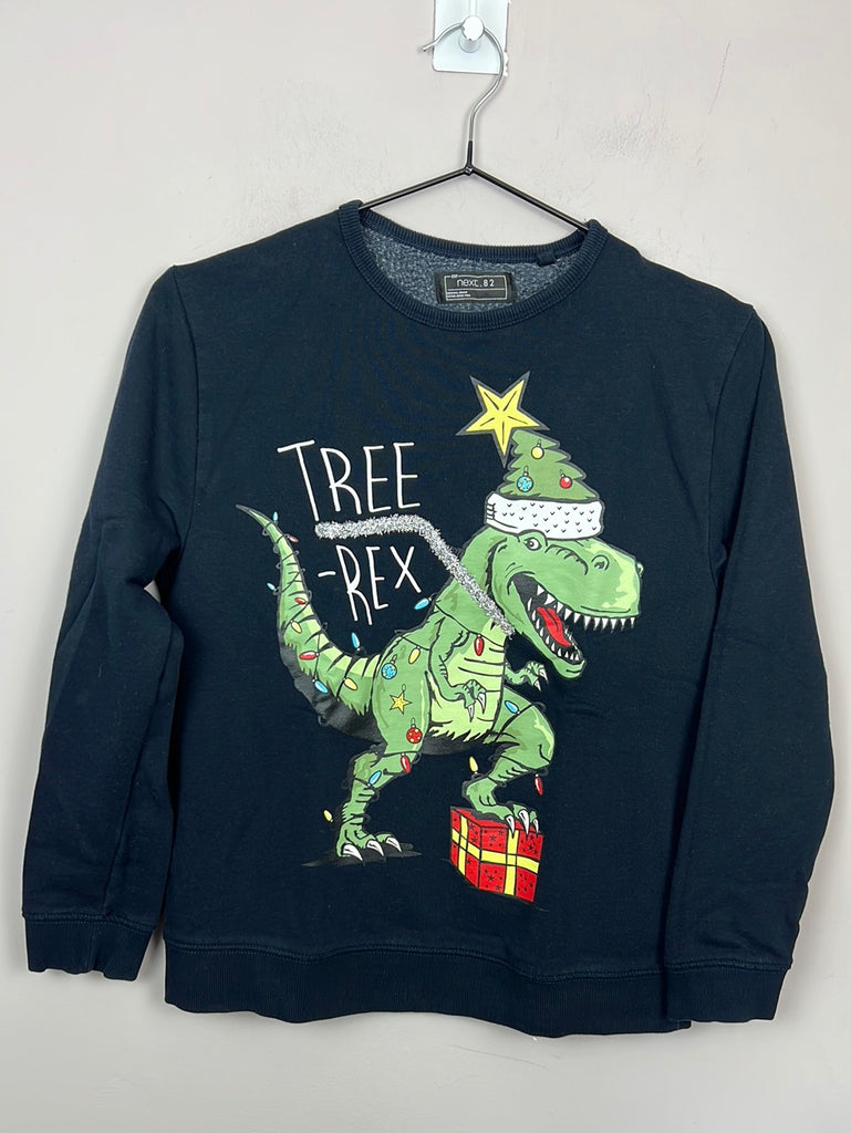 Second hand kids Next Tree Rex sweatshirt 11y