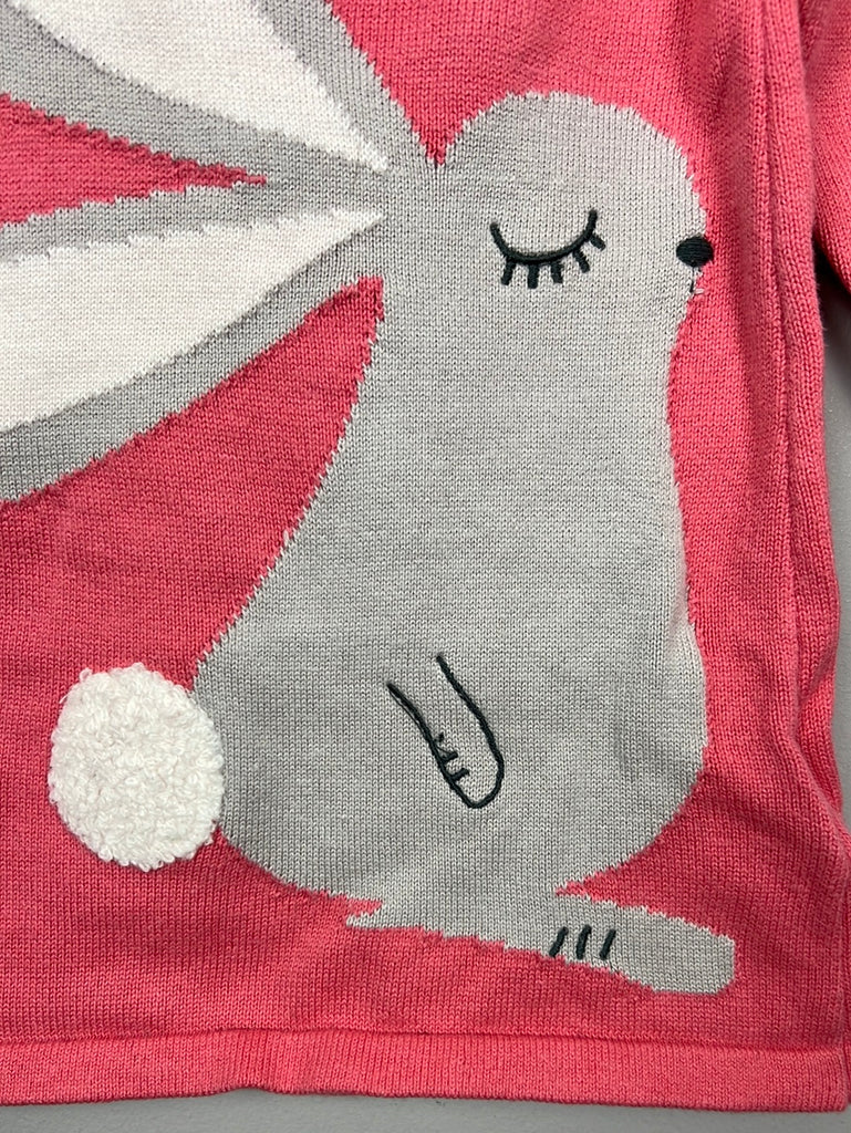 Pre Loved Baby M&S bunny knit dress 3-6m