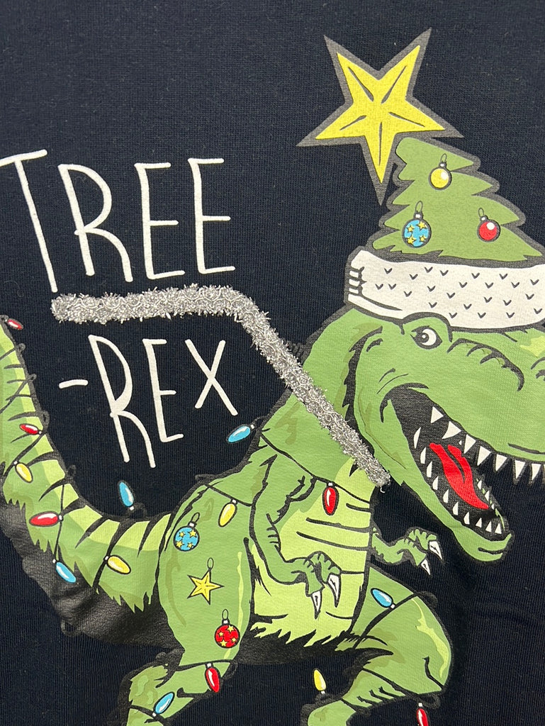 Pre loved kids Next Tree Rex sweatshirt 11y