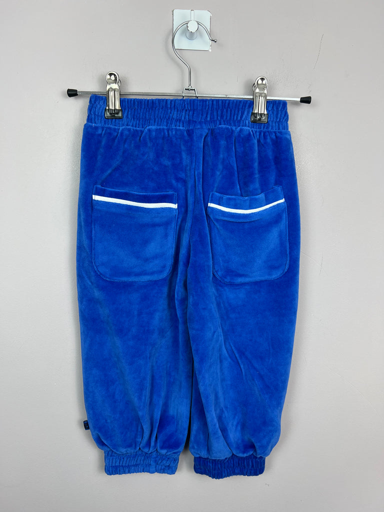 SMAFOLK ORGANIC velour joggers BLUE