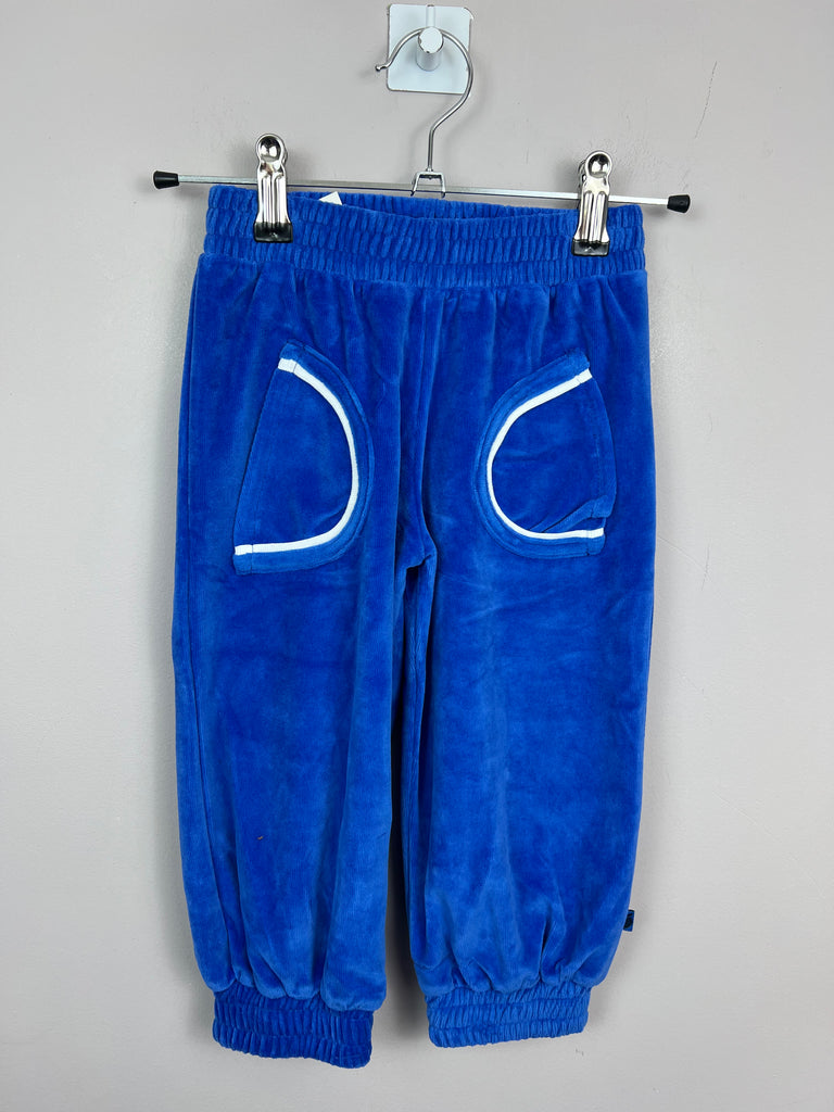 SMAFOLK ORGANIC velour joggers BLUE