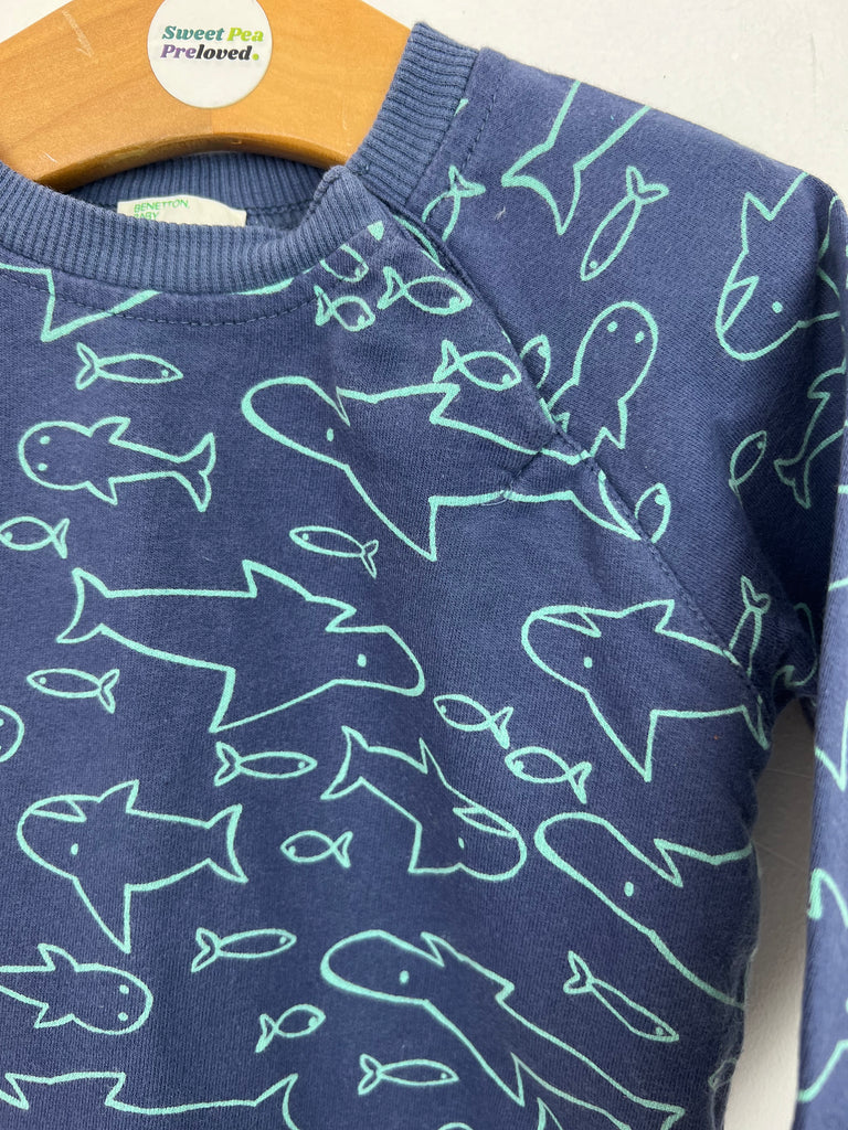 3-6m Benetton Shark print sweatshirt - Sweet Pea Preloved Clothes